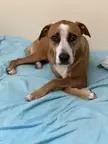 Why the fuck would he sit this way ? This can’t be comfortable