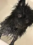 Bath Time...