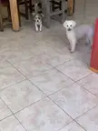 you are going to work? can I go with you? when will you come back?