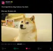 Doge has died, may she rest in piece...