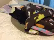 My boy loved to be tucked in