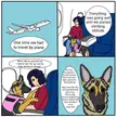 Service Dog on a plane