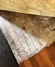 How to scrub and clean paint from under a rug that got stuck to laminate floor from standing water/flooding?