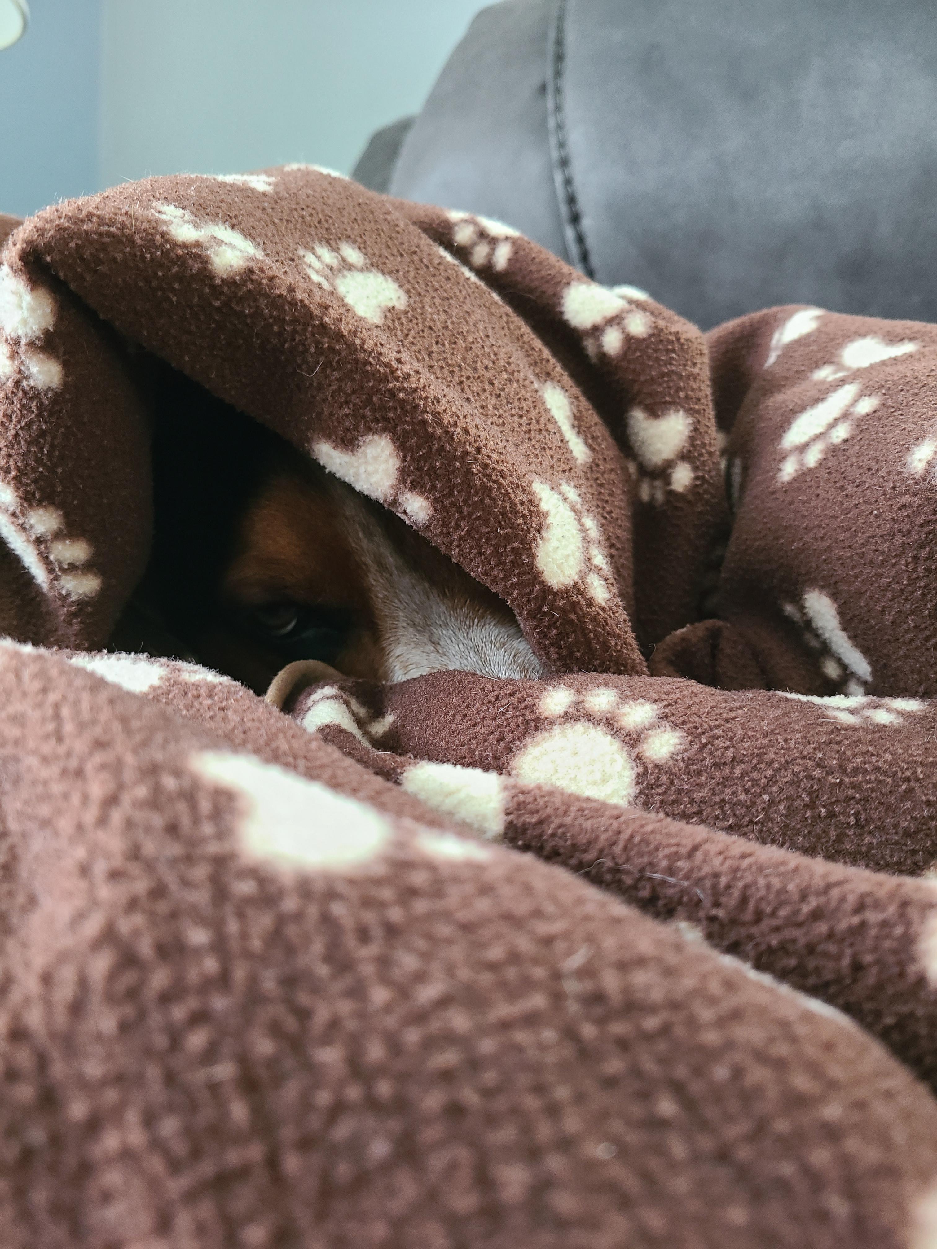 I see you