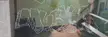 Found this scratched onto the window of an MBTA Green Line train