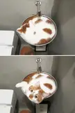 Forbidden Cappuccino