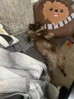 Comfort level 10/10.