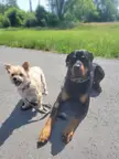 Best buds