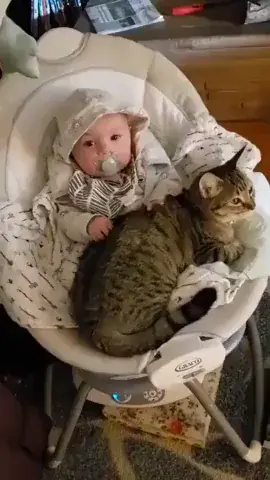 Babies having fun together.