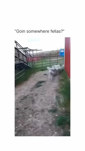 Bad behavior fellas!
