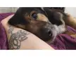 (OC) look at my dog 😍 He is the sweetest boy 🥰