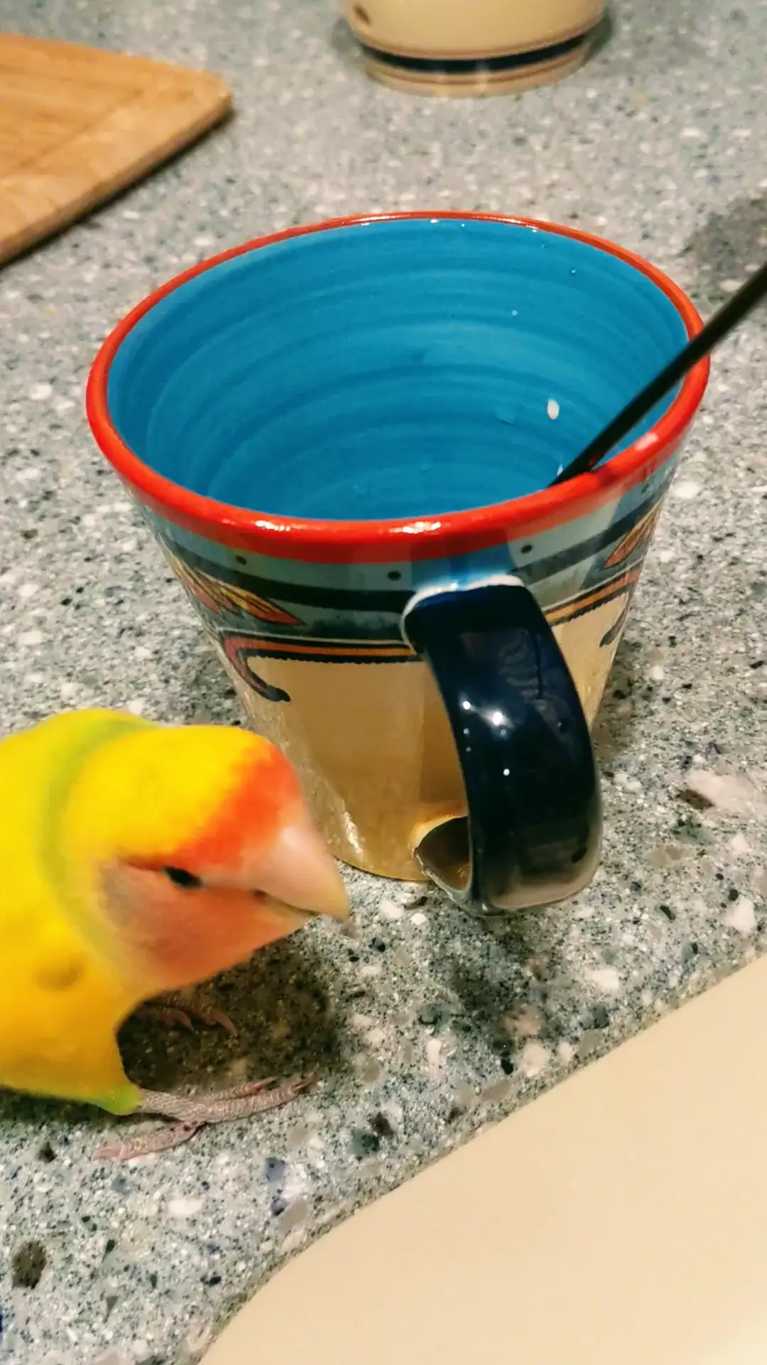 Barista in training