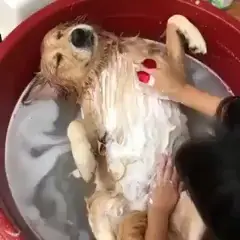 Bath Time!