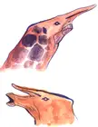 Some weird watercolor sketch of a giraffe-goblin shark alien.