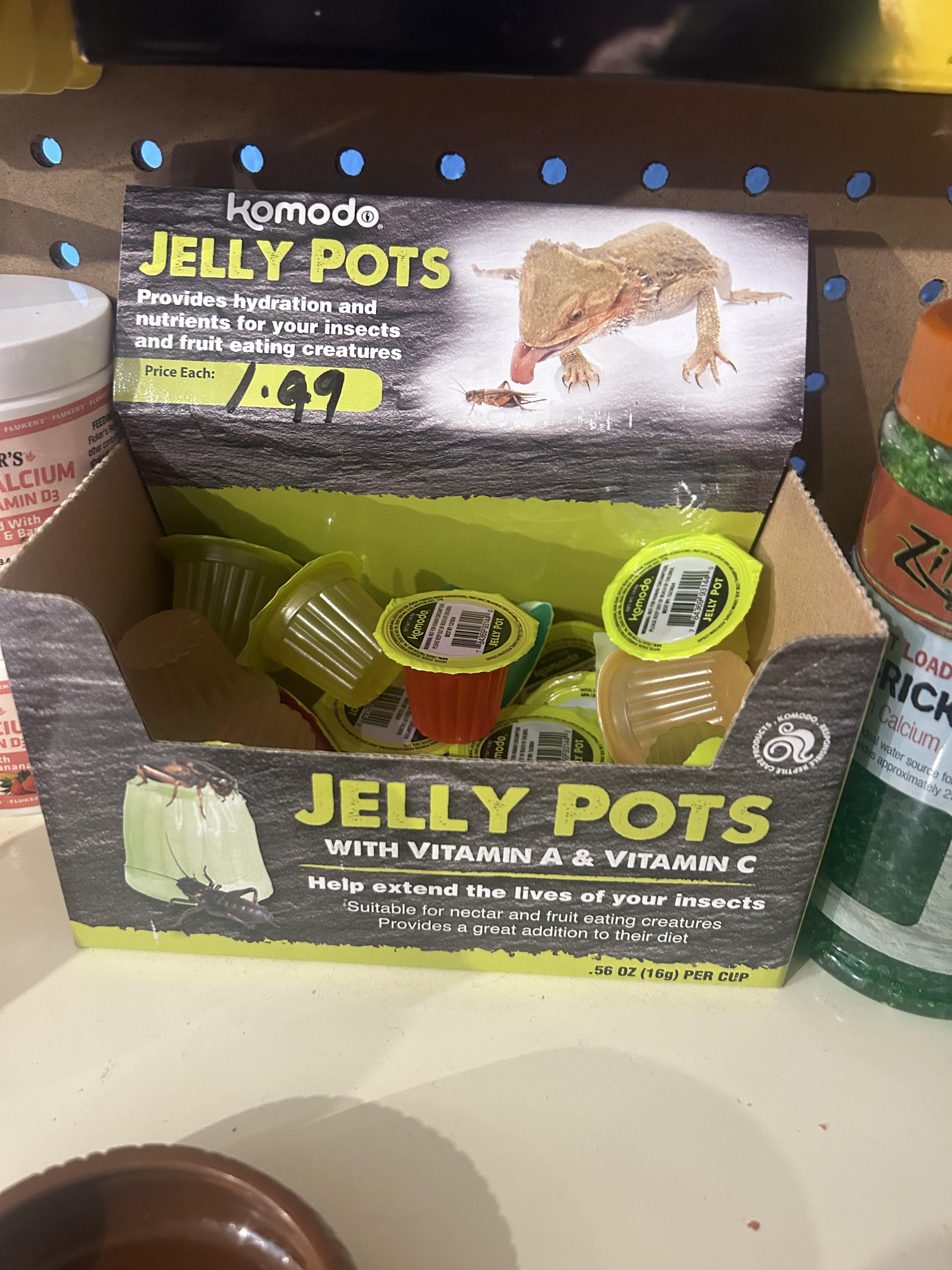 Can I feed my rats jelly pots
