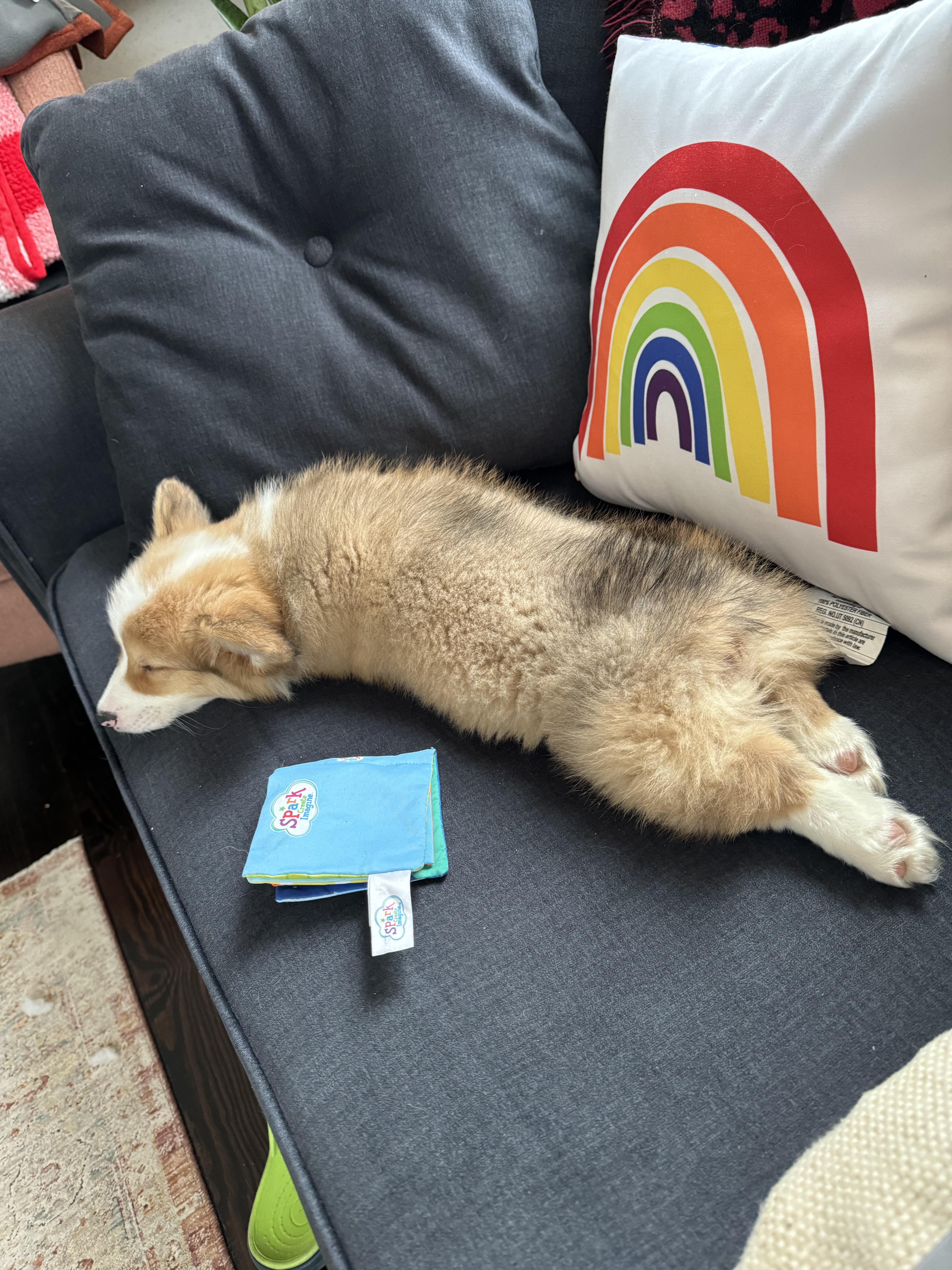 Welcome home Guenther!