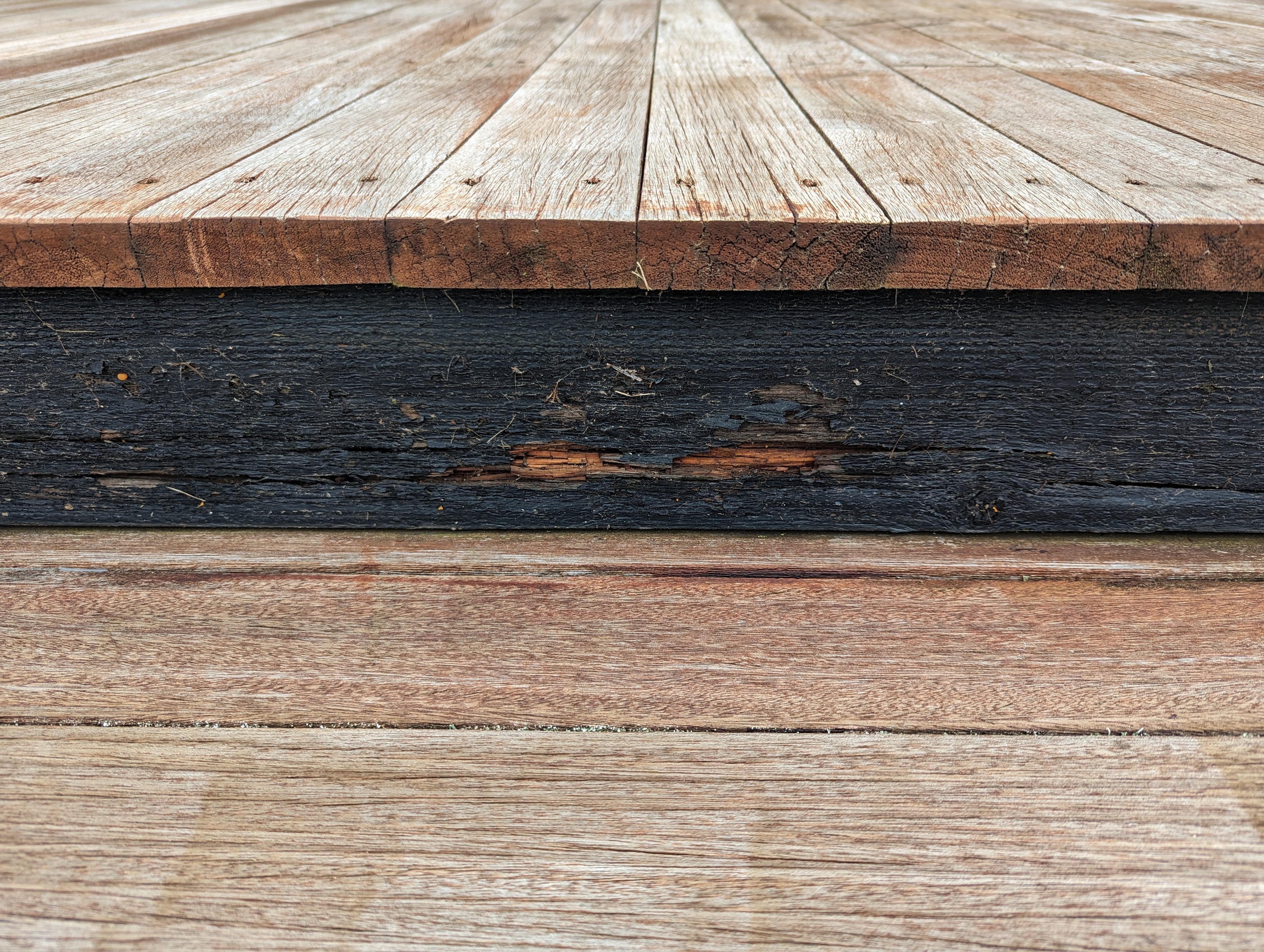 Deck step risers. What type of wood? | Scrolller