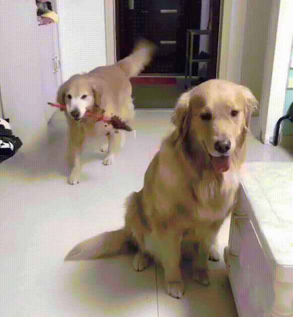 Sometimes a hug is all you need