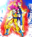 Pair of super Saiyan gods (OC)