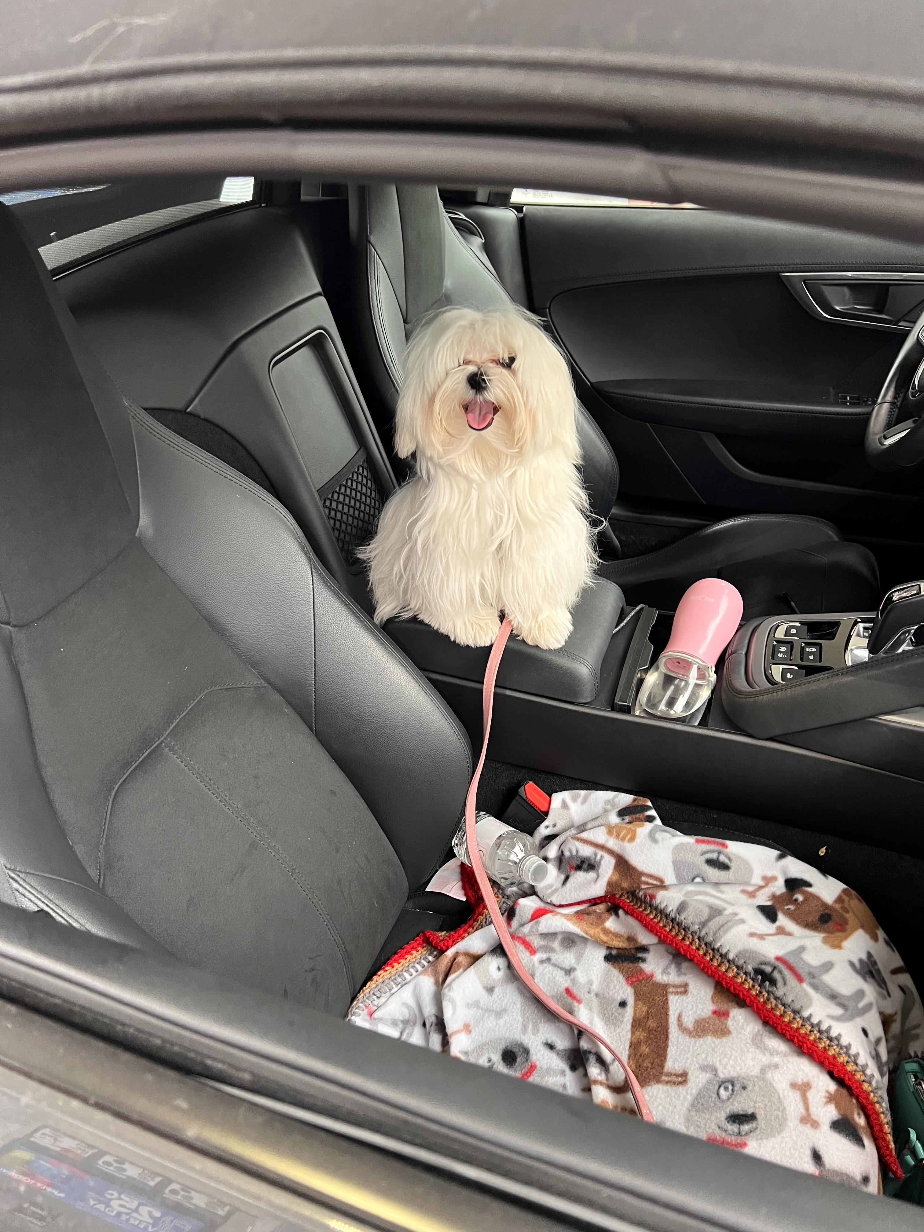 This little muppet had the best time ever running errands with me. She spreads joy wherever she goes❤️❤️❤️.