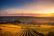 Beautiful field of crops
