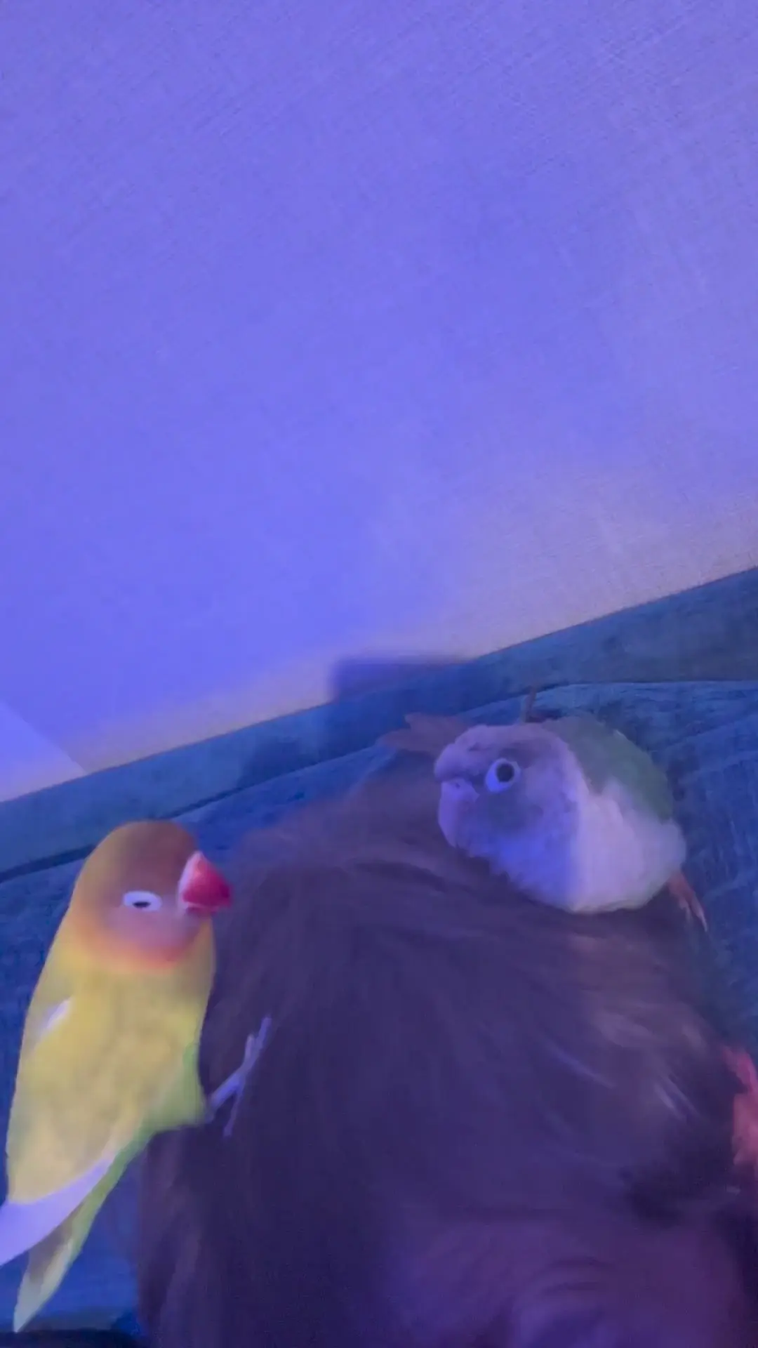Been taken hostage 