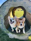 best of friends 🥺
