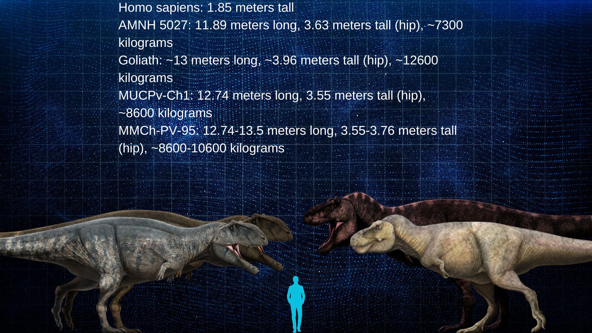 The largest megatheropods next to one another (Art by ElReptileano ...