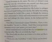 What does the yellow part mean?