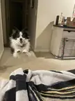 I present to all of you, “Super Felix”!