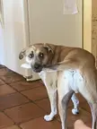 My Sweet Potato being a goof