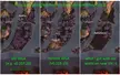 Big swamp but no a single sunken crypt (SC). VH's world generation algorithm (WGA) screws me over when discovering new distant areas in old world. What can I do to fix this (in either direction) for future explorations?