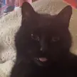Blep’s are the best! 