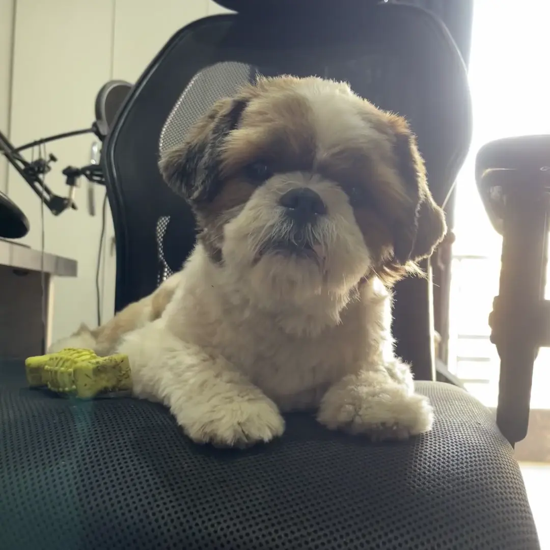 Bro looks tired!