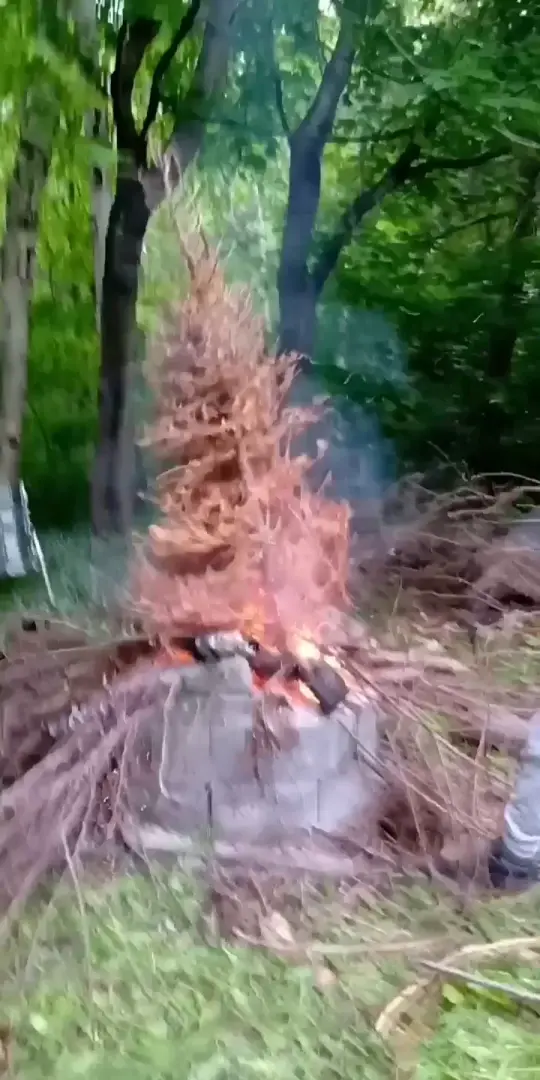 Burning christmas tree !!!