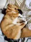But mom, I don't want to wake up yet, 5 more minutes!