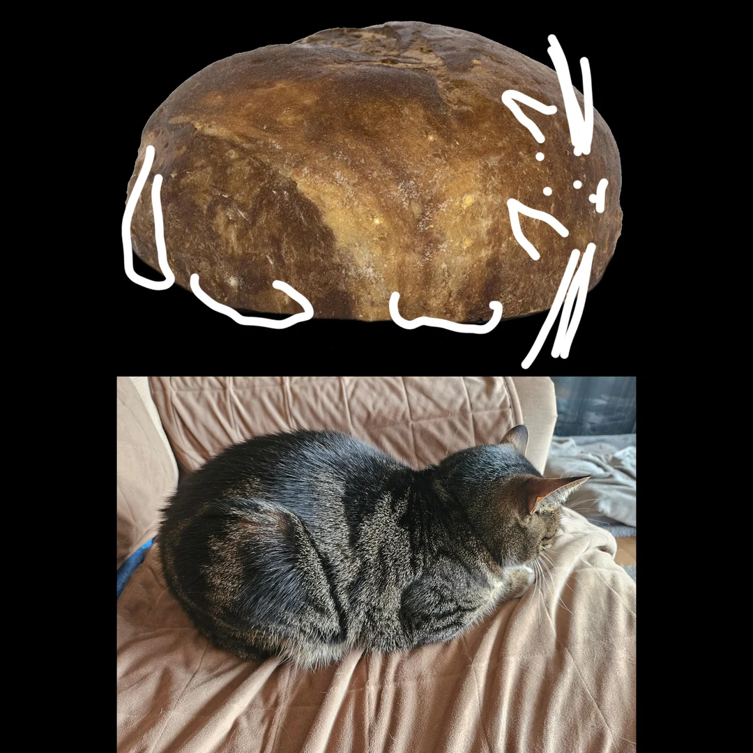 Can you tell me which one is Cat and which is Marble Rye? It's harder ...