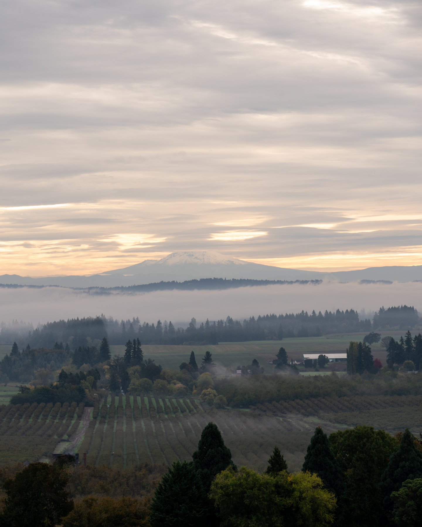 Fall morning in the Willamette Valley, Oregon [OC]