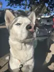 “sup bitches” -Thor