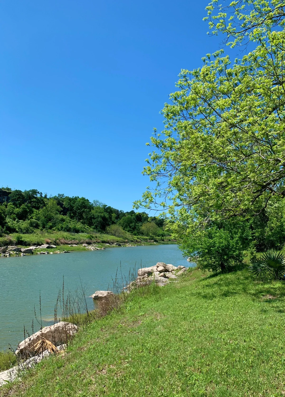 Central Texas, Spring [OC][3024x4032] | Scrolller
