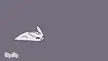 Slugcat animation test because I can