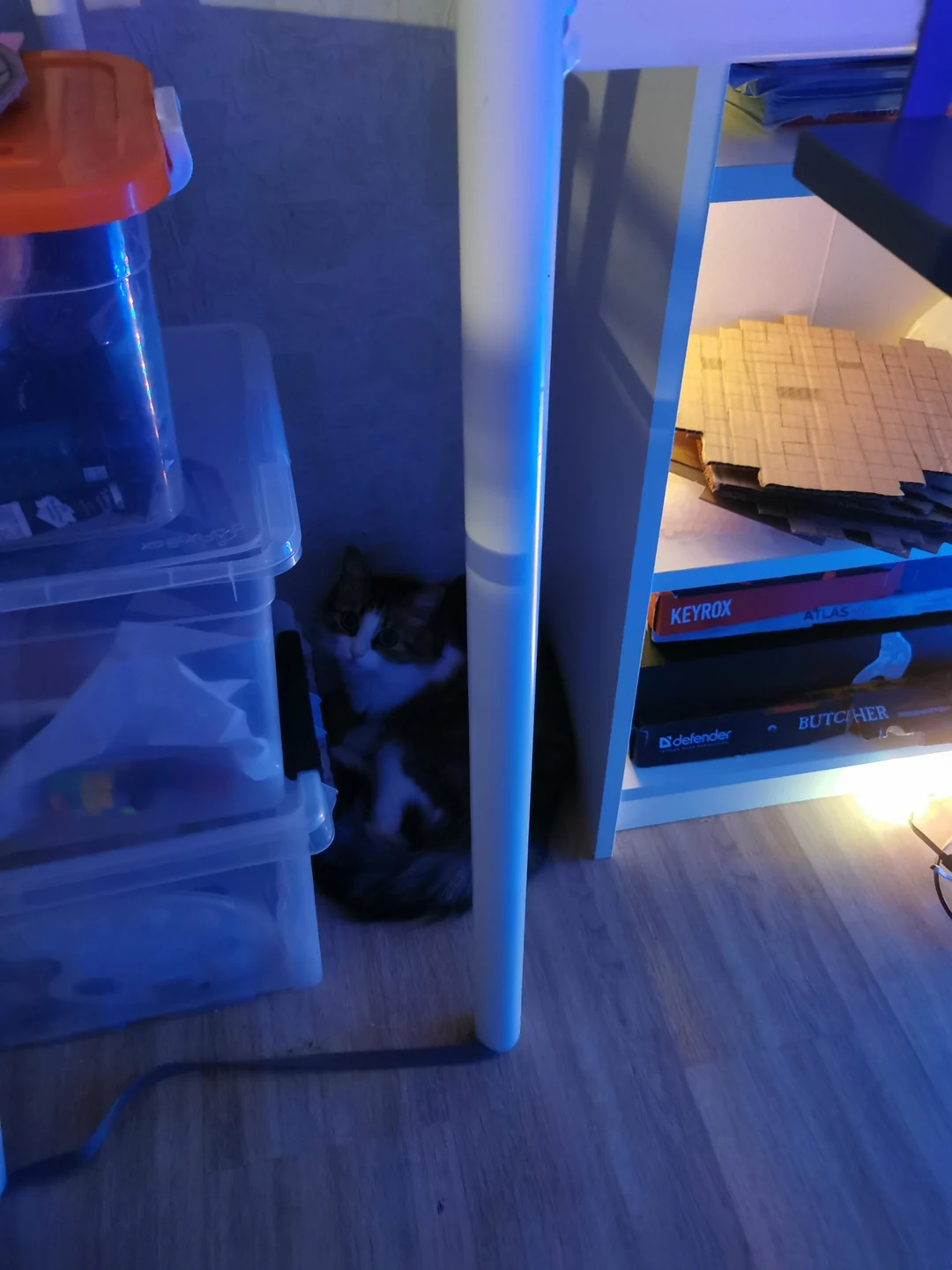 i installed that close here 1 day ago and she already got here and also ...