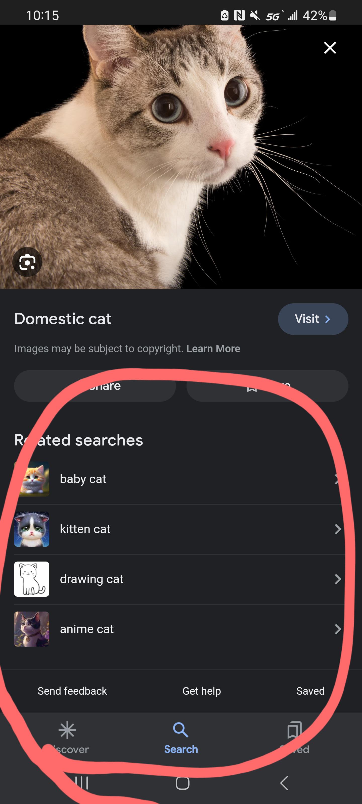 Does anyone know how to fix my Google Related Image thing not showing ...