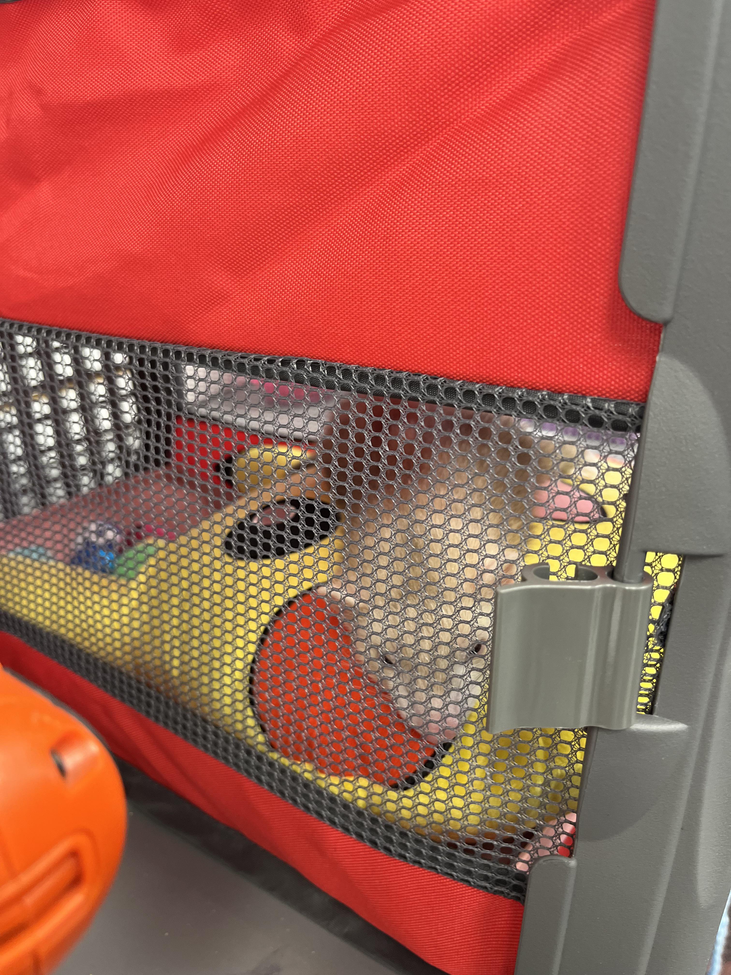 Pikachu Use Choke “PIKACHU used tackle! The move had no effect. PIKACHU went to sleep! 💤 ...