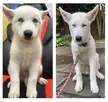 2 months vs 4 months