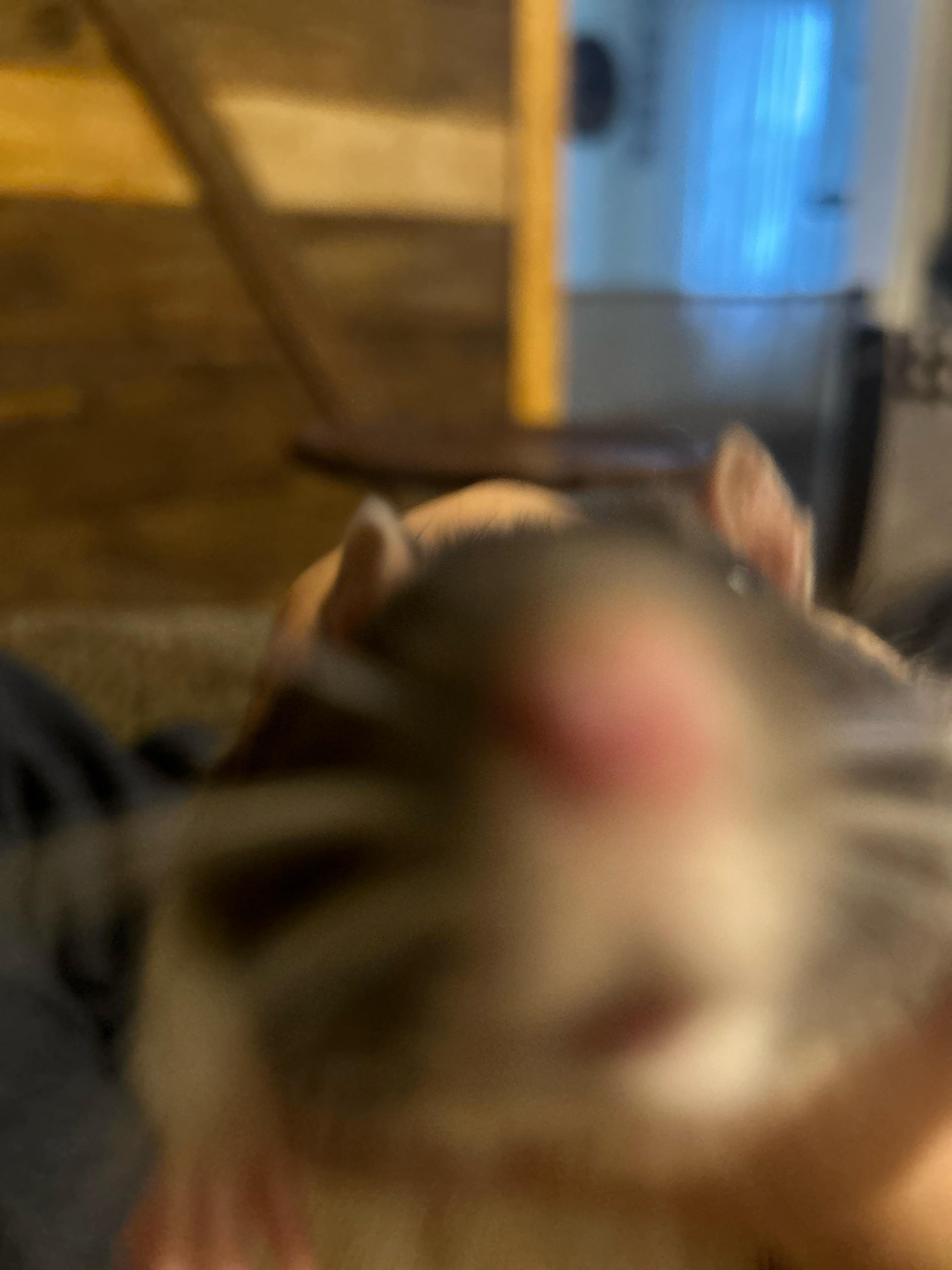 what to about rats with bad temperaments?