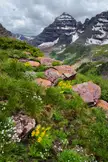 High country view to North Maroon Peak of the Maroon Bells, USA [OC] [1201x1800]