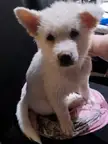 Her first bath