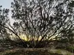 Taken in the So Cal Desert near Palm Springs