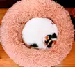 Fur circles.